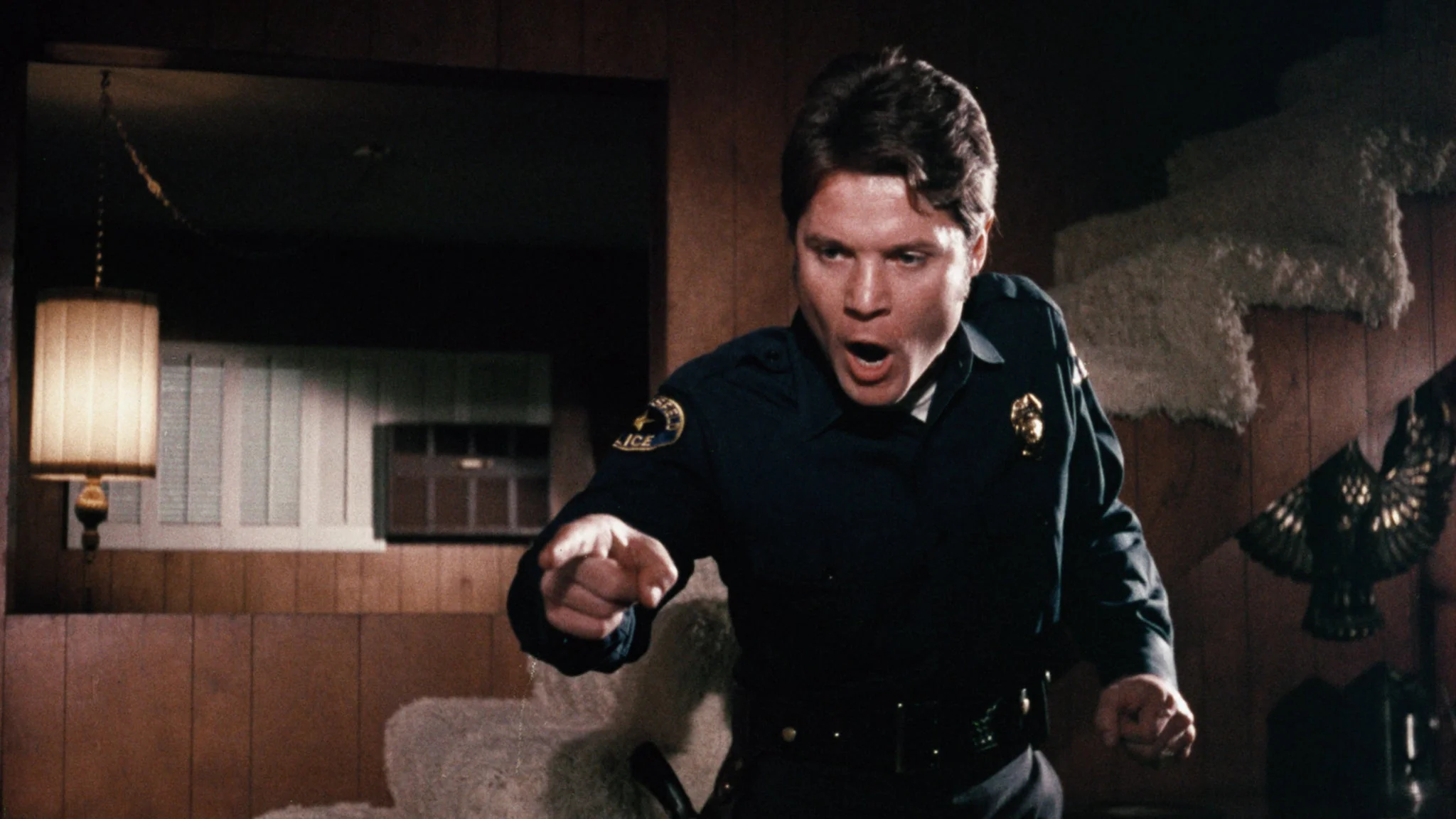 A Climax of Blue Power - Image 19