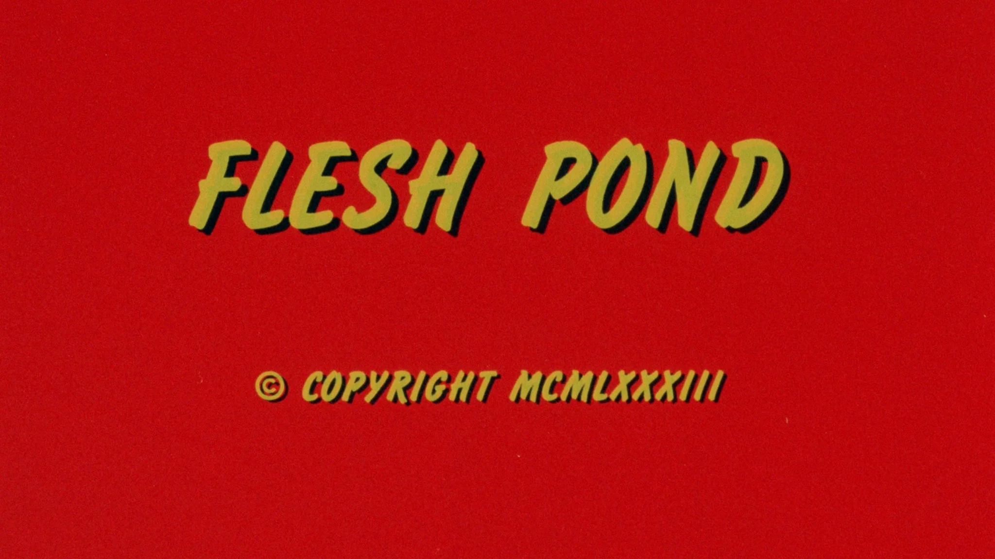 Anticipation / Flesh Pond - Image 12