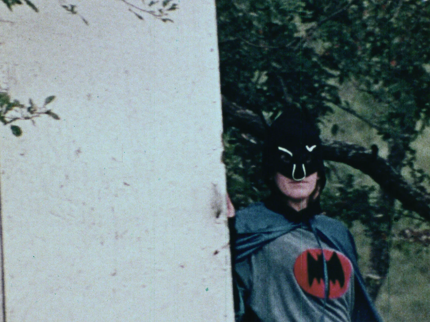 Bat Pussy - Image 4