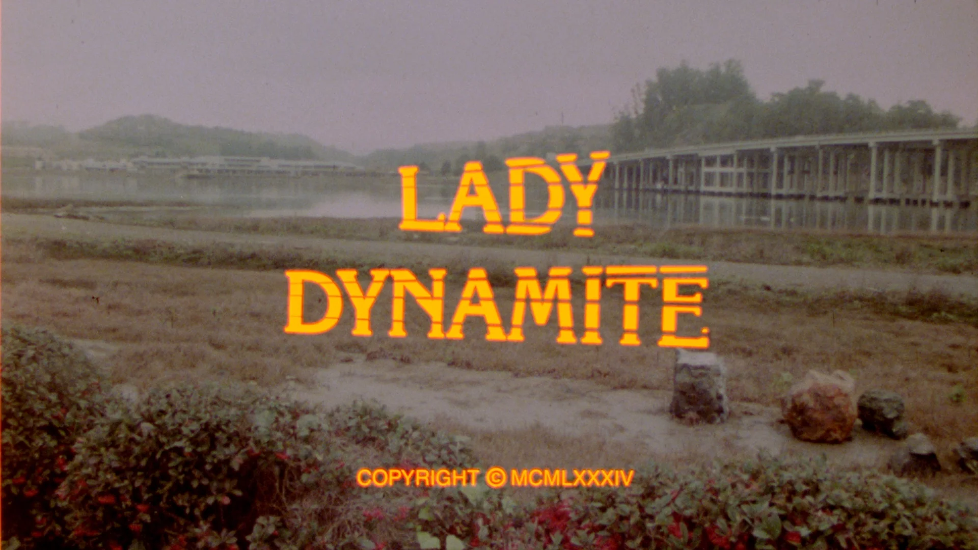 Come Under My Spell / Lady Dynamite - Image 14