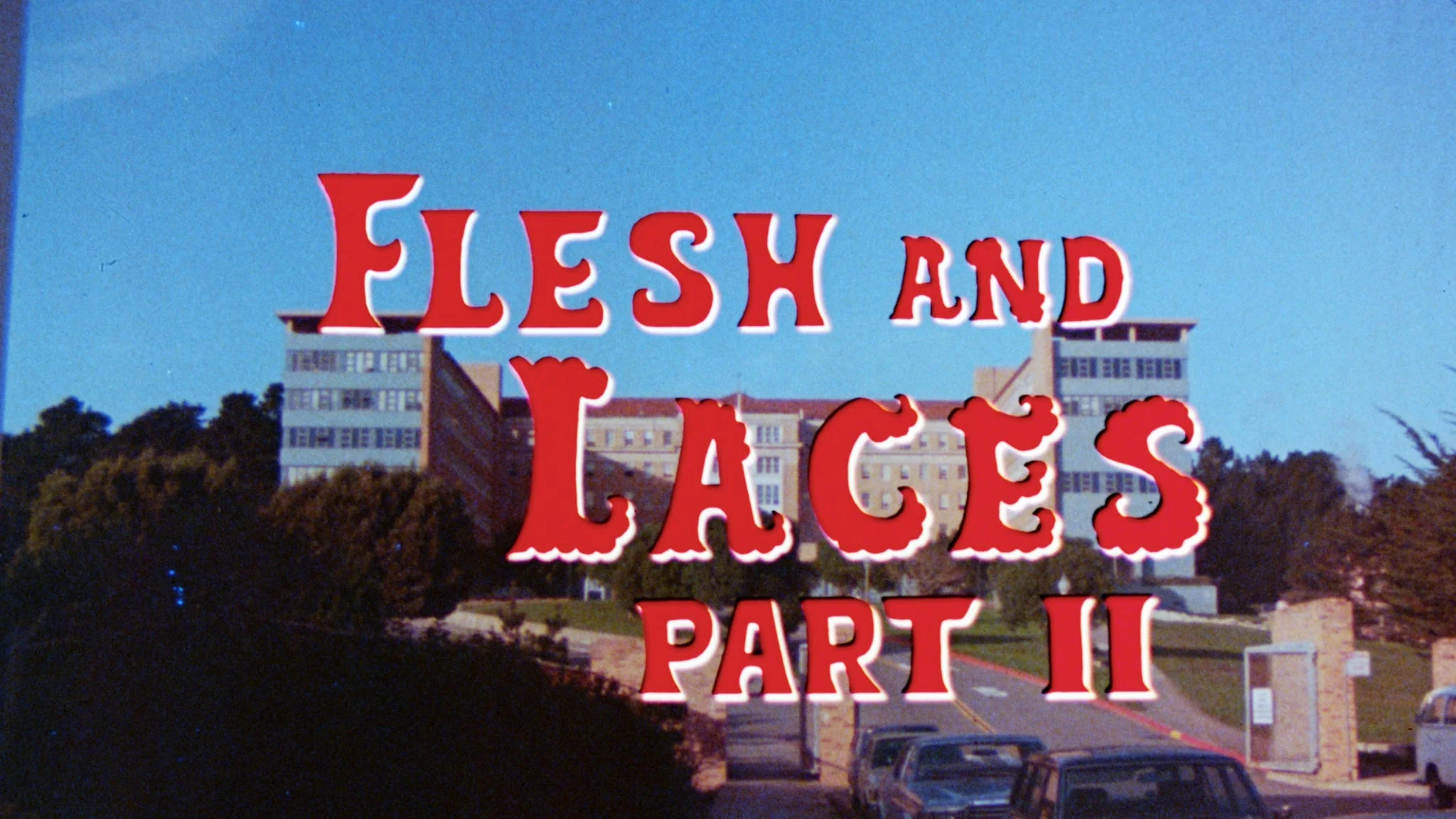 Flesh and Laces: Parts 1 & 2 - Image 11
