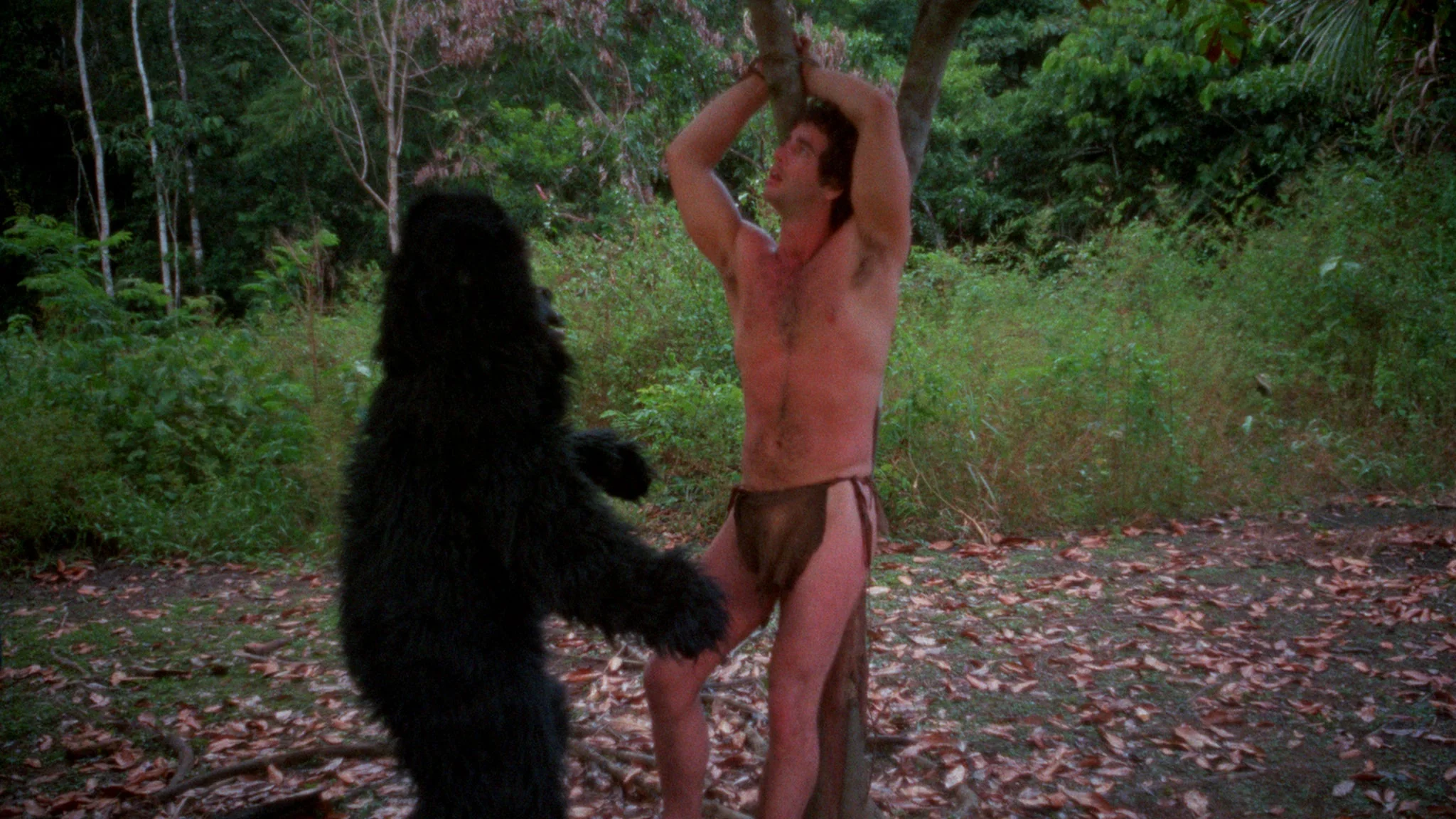 Jungle Blue - Image 6