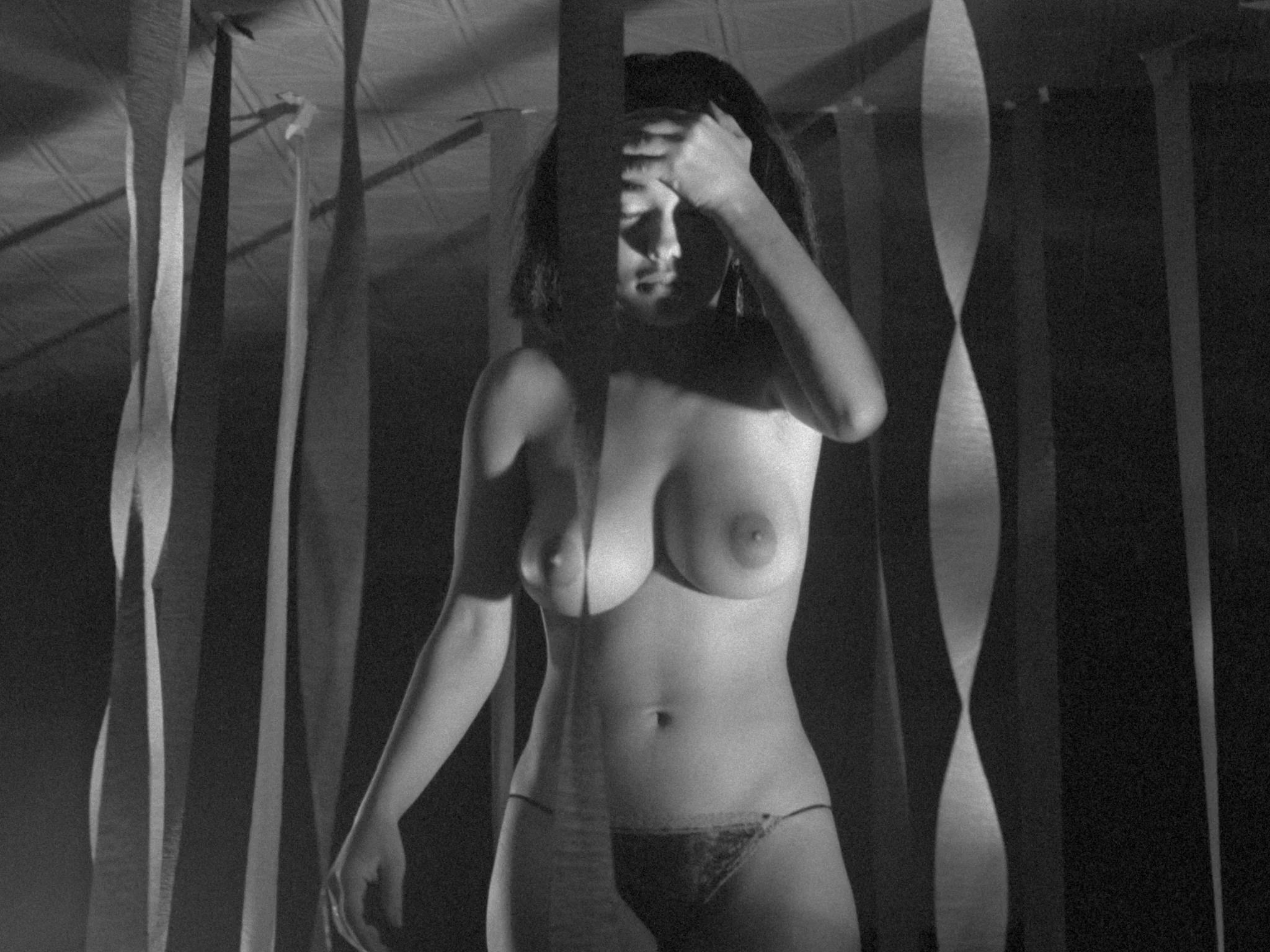 Michael Findlay's "Flesh" Trilogy - Image 10