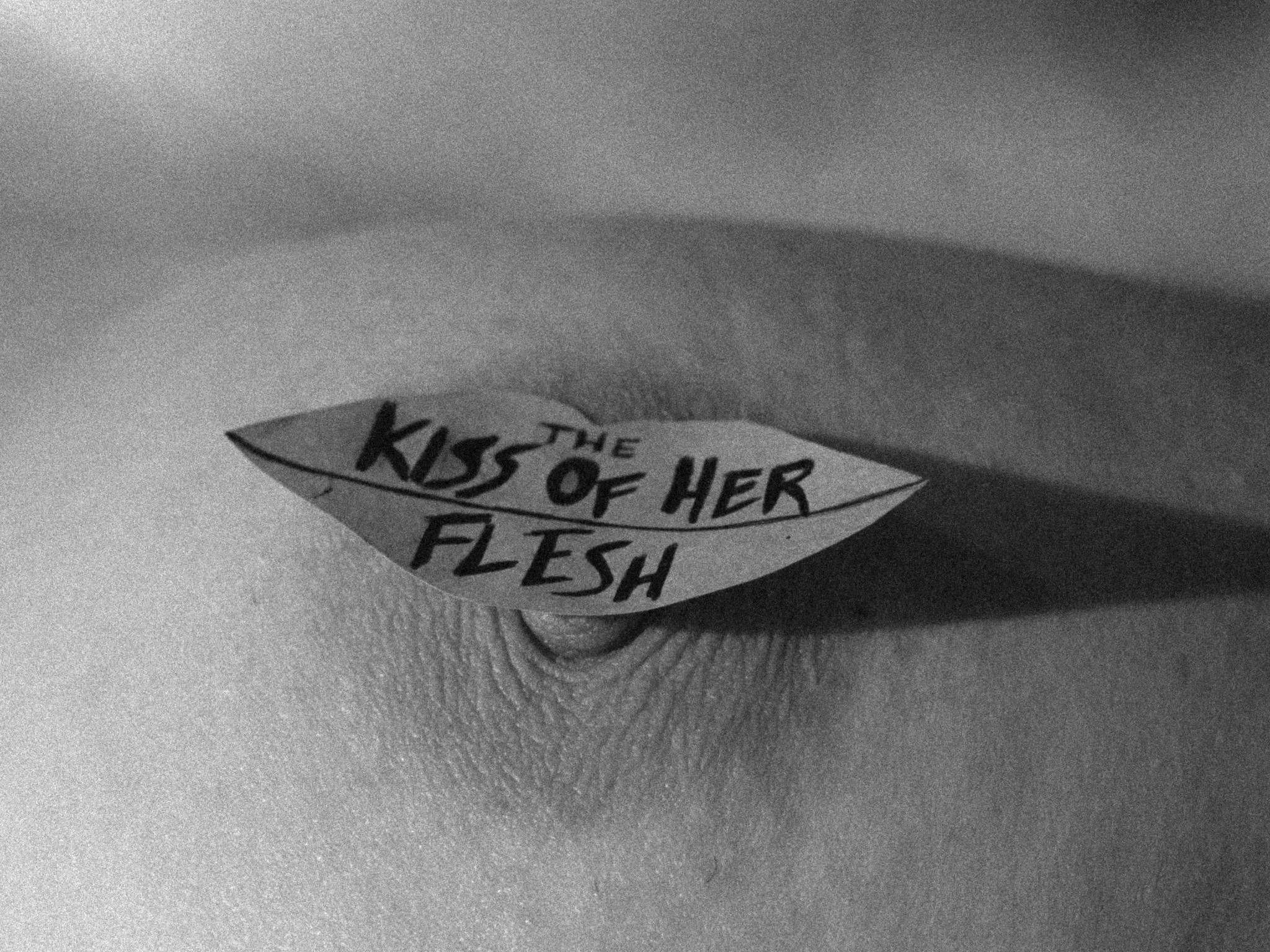 Michael Findlay's "Flesh" Trilogy - Image 29