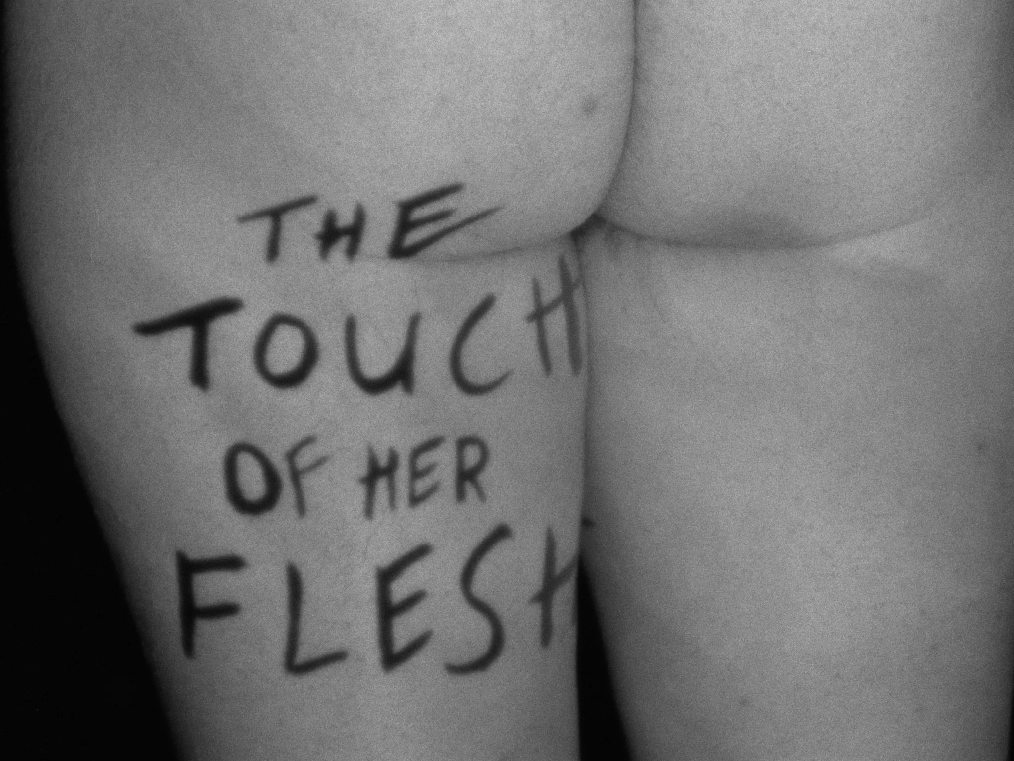 Michael Findlay's "Flesh" Trilogy - Image 3