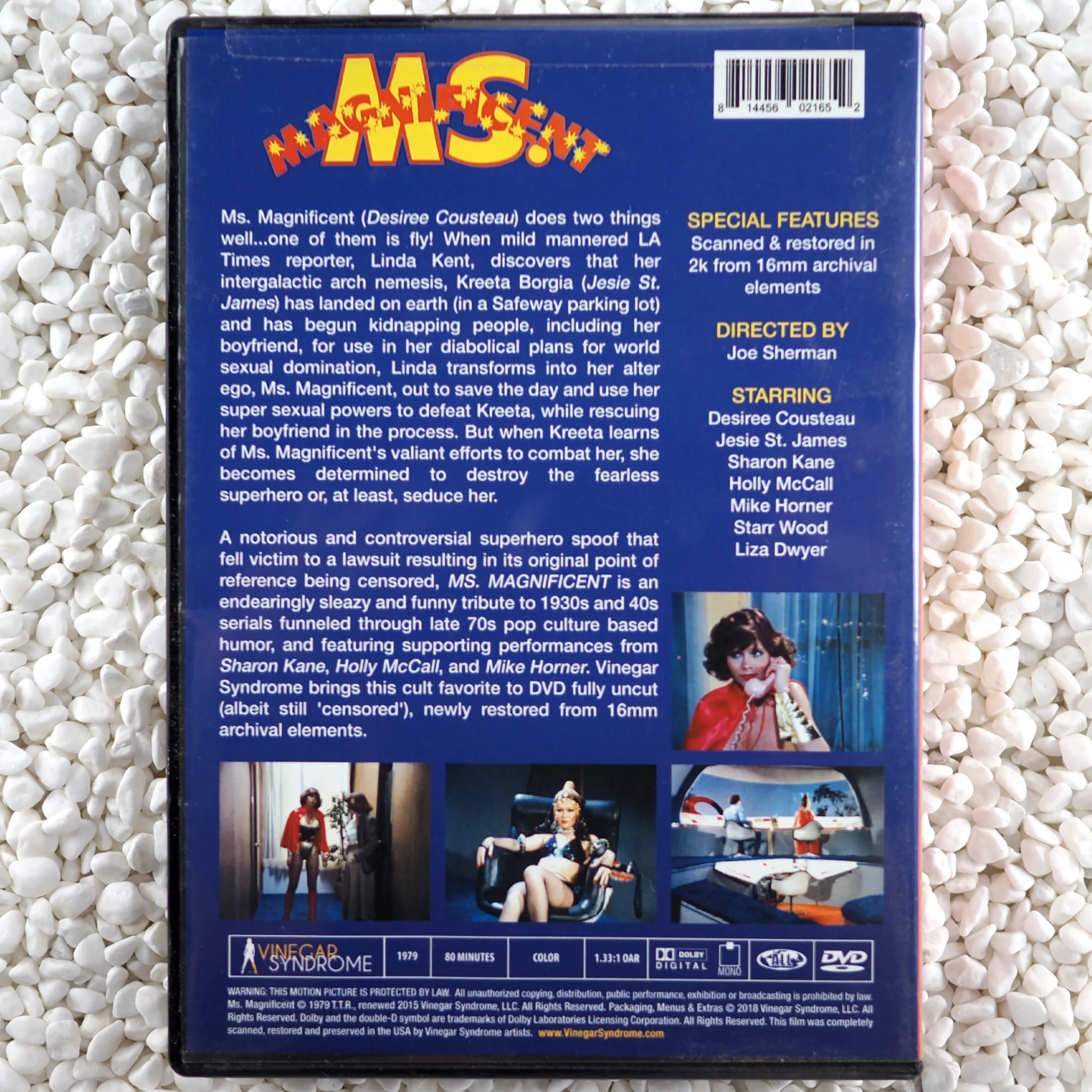 Ms. Magnificent - Image 2