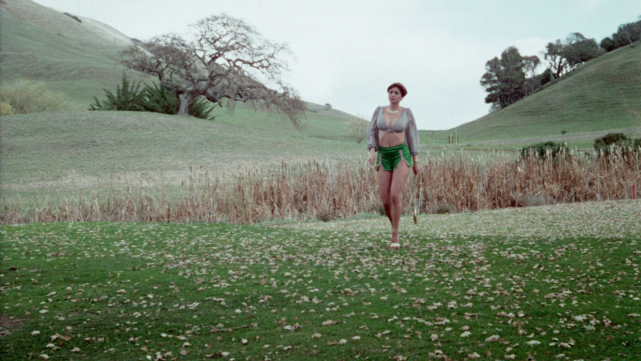 Pretty Peaches Trilogy - Image 6