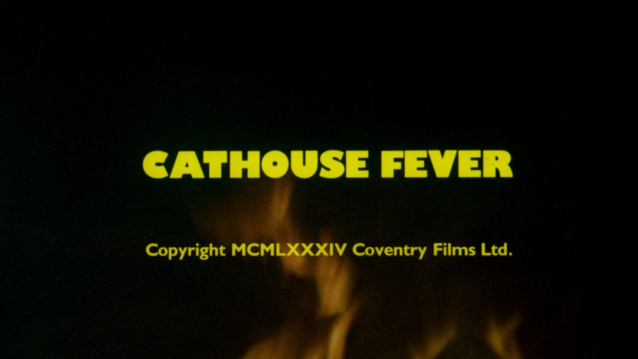Purely Physical / Cathouse Fever - Image 13