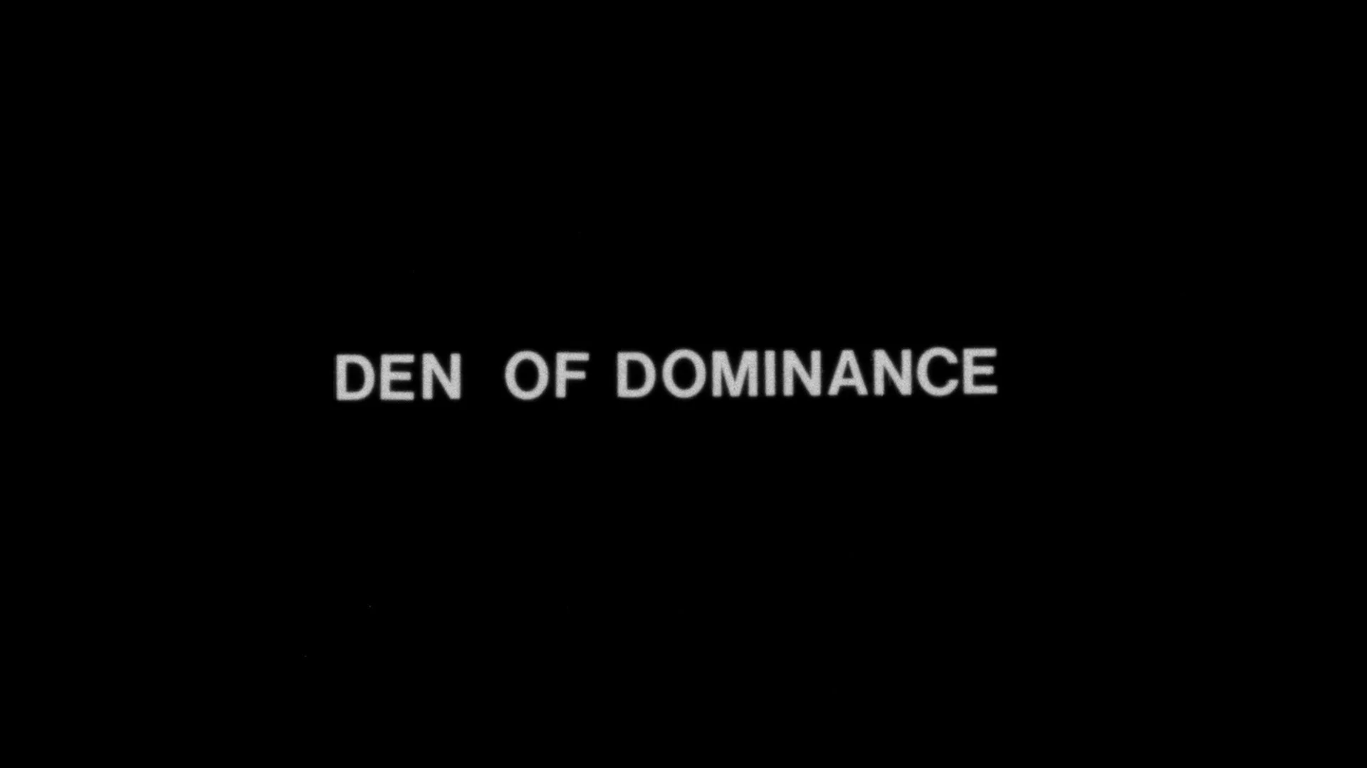 Savage Sadists / Den of Dominance / Daughters of Discipline - Image 12