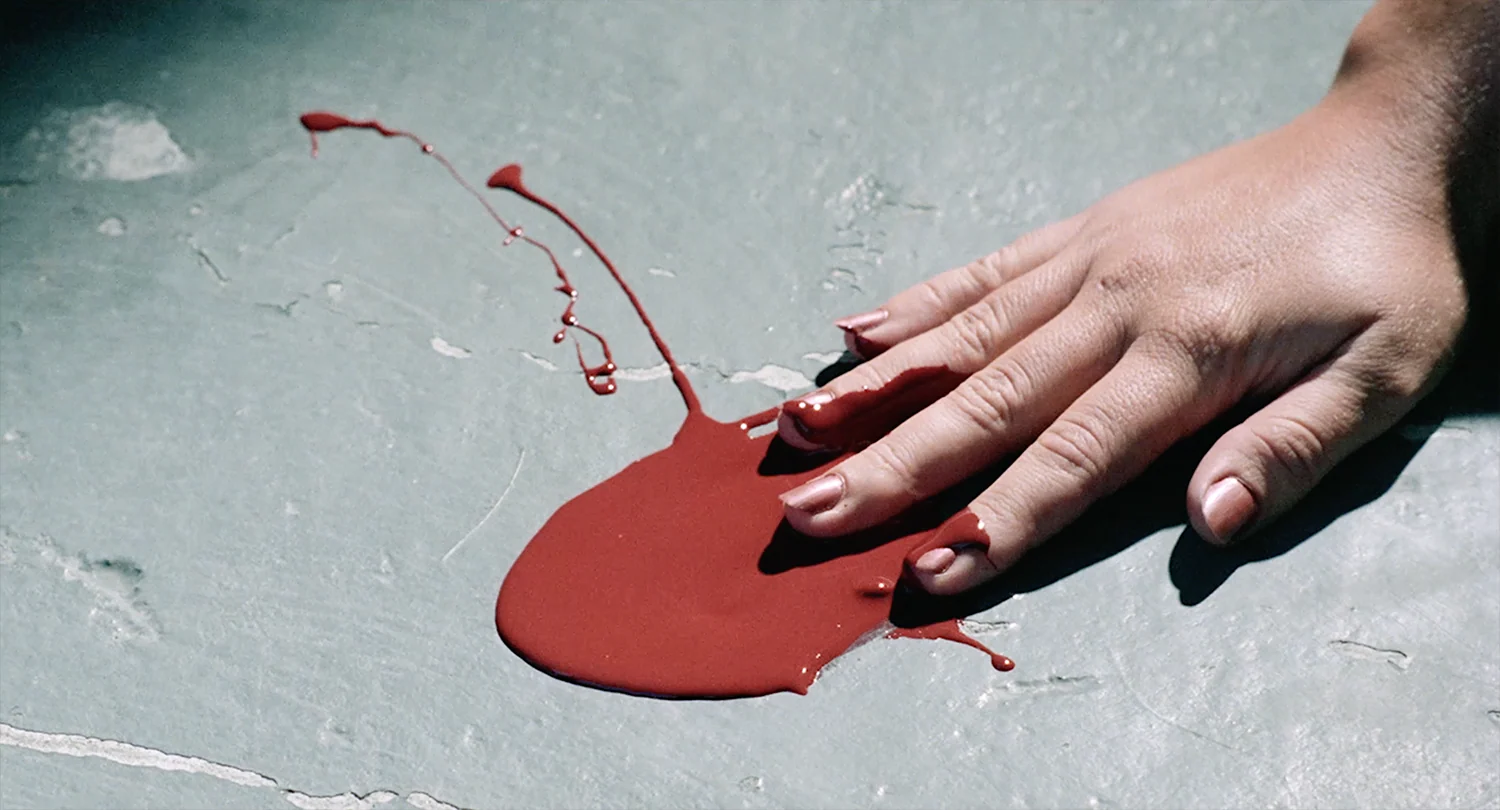 The Films of Doris Wishman: The Twilight Years - Image 8