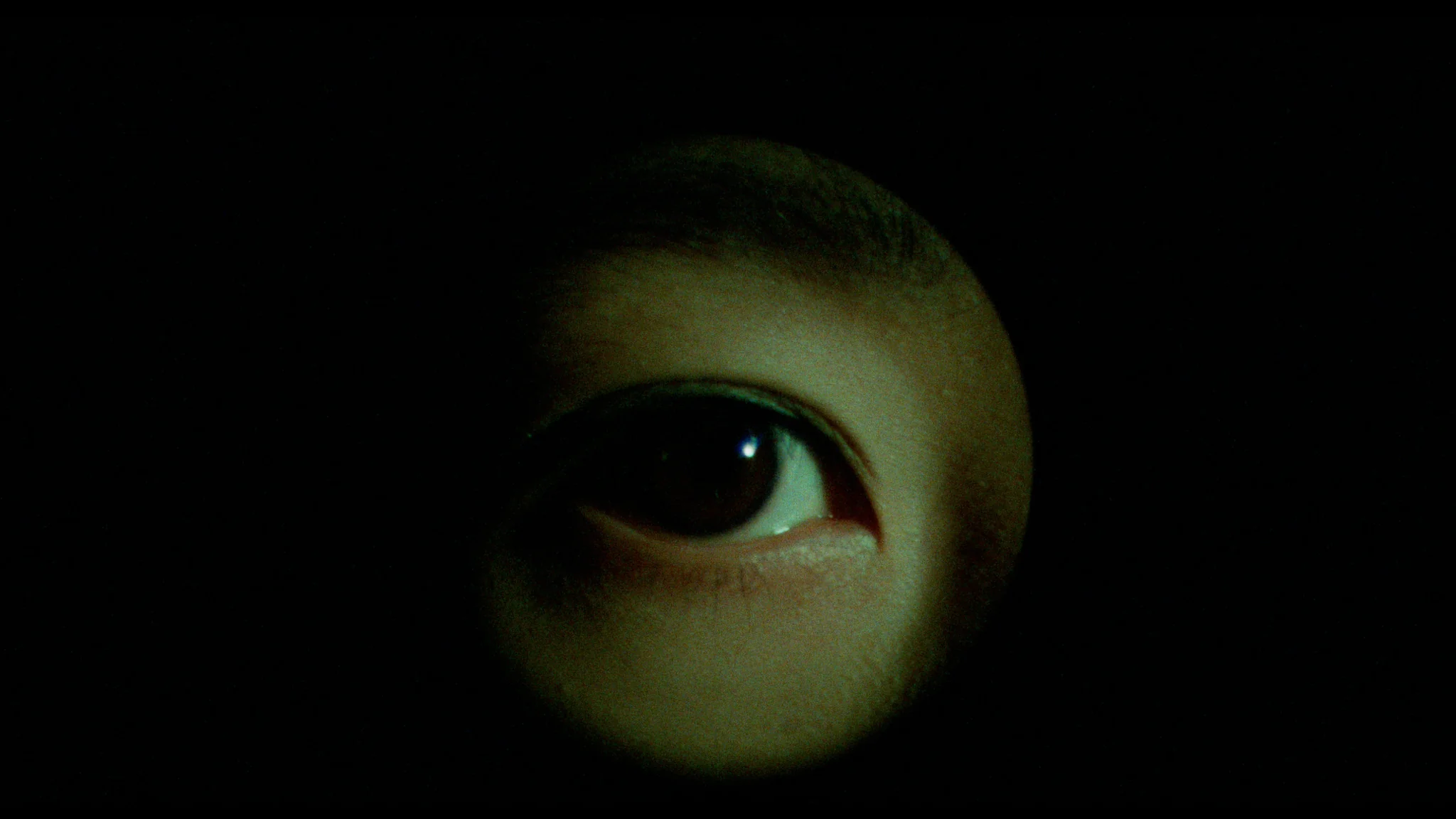 The Films of Hisayasu Satô: Volume #3 - Kyrie Eleison / Rafureshia / Turtle Vision - Image 25