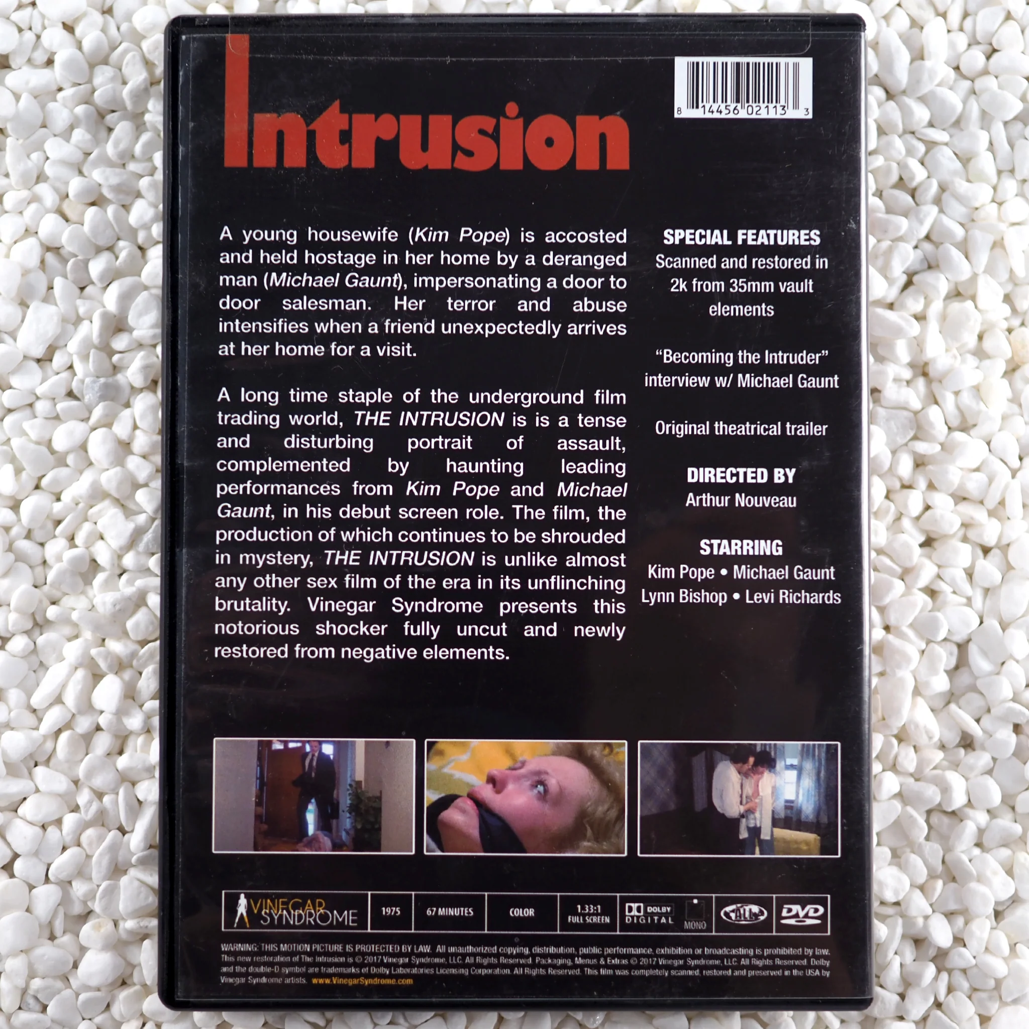 The Intrusion - Image 2