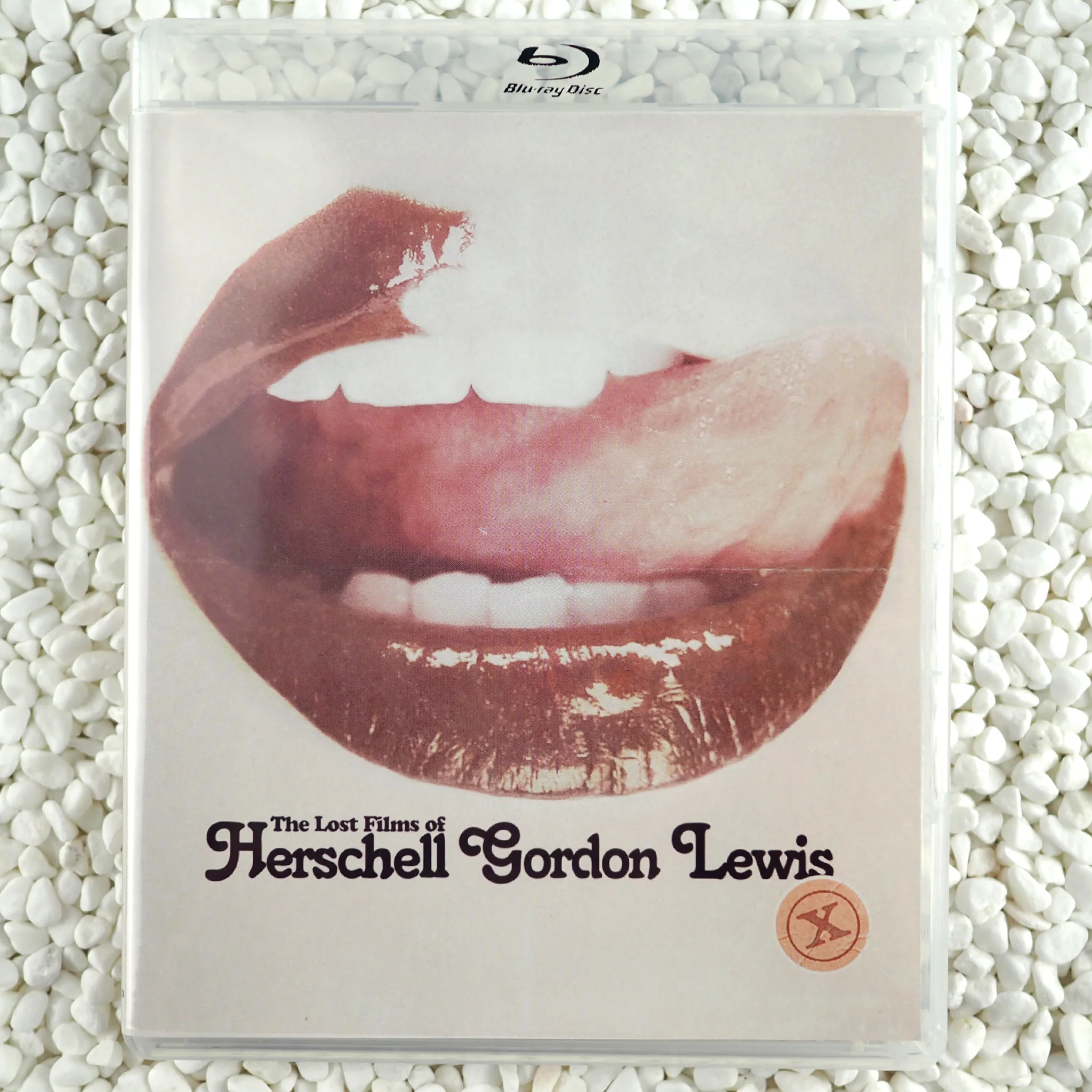 The Lost Films of Herschell Gordon Lewis - Image 20