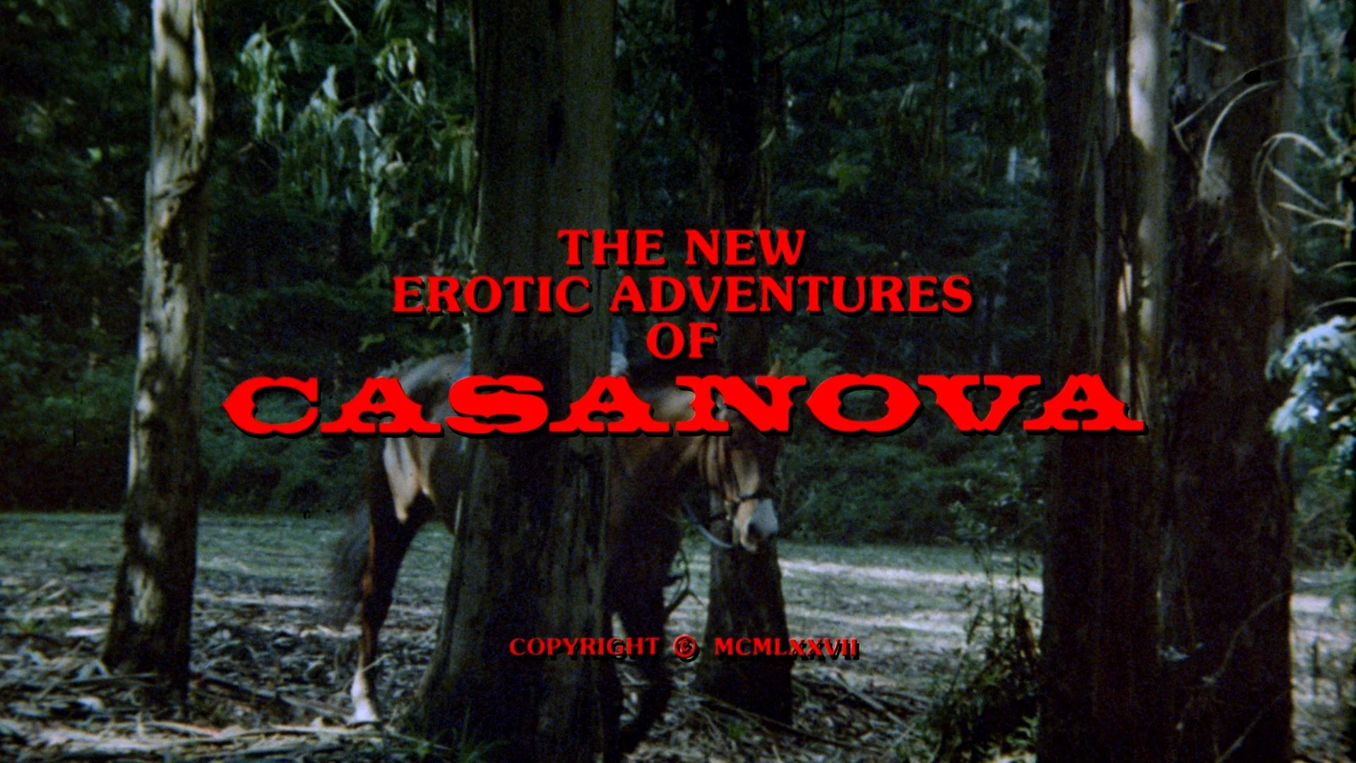 The New Erotic Adventures of Casanova 1 & 2 - Image 3