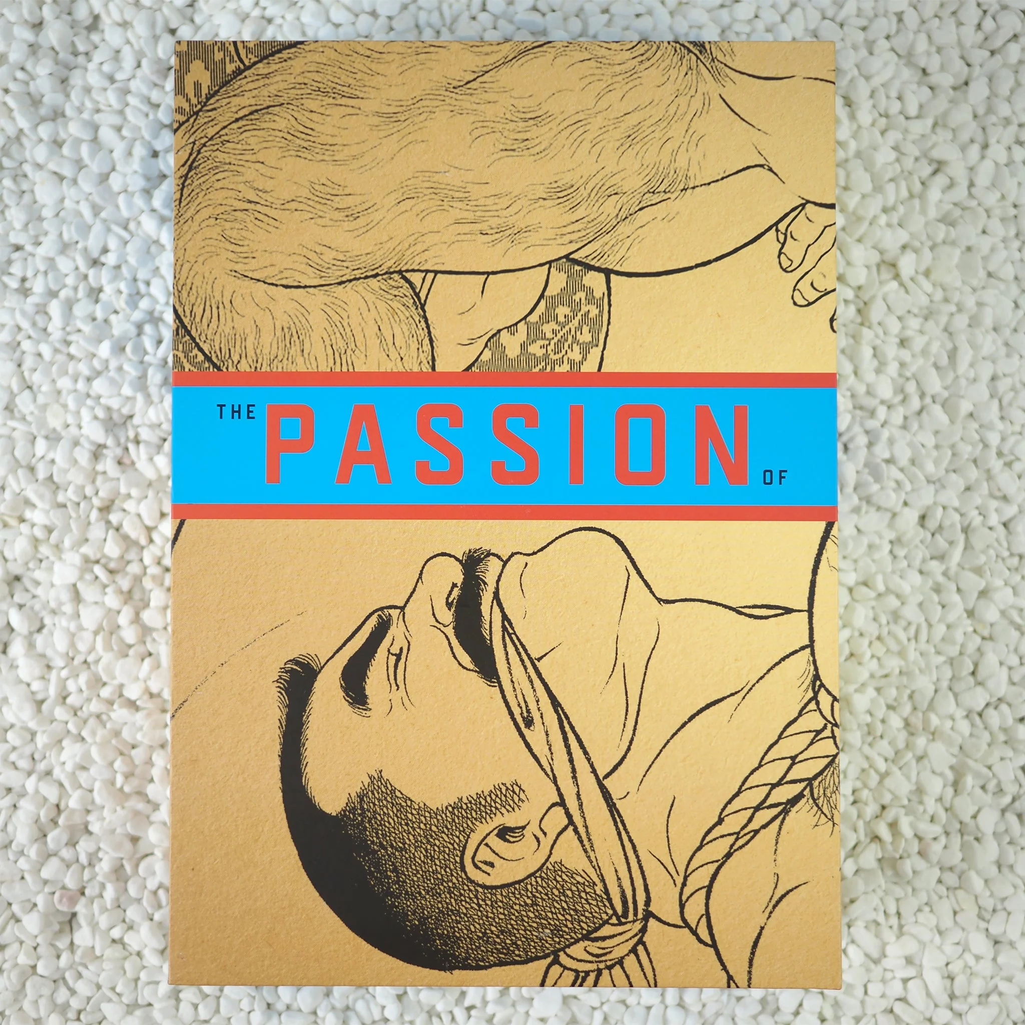 The Passion of Gengoroh Tagame: Master of Gay Erotic Manga: Vols. 1 & 2 - Slipcased Edition - Image 3
