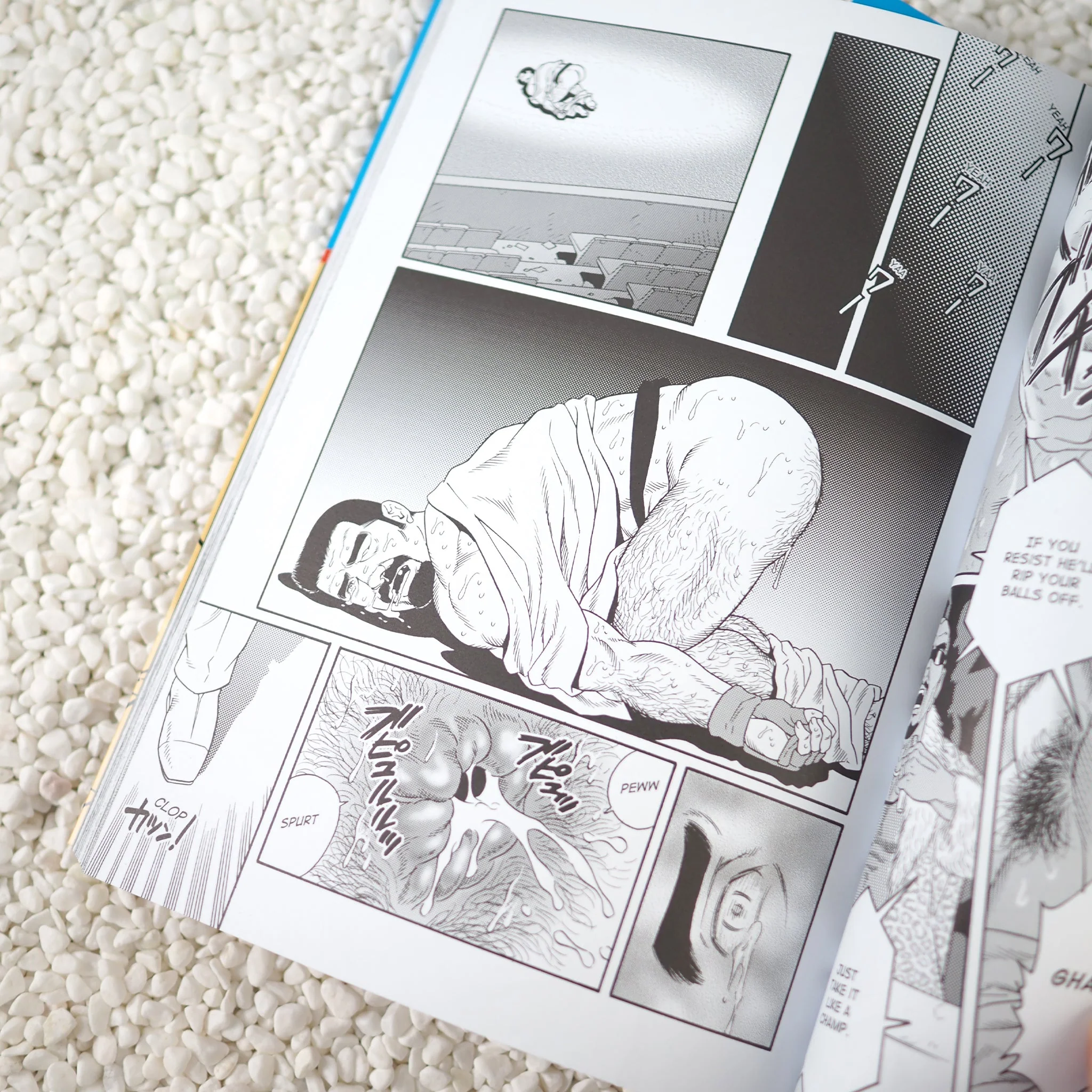 The Passion of Gengoroh Tagame: Master of Gay Erotic Manga: Vols. 1 & 2 - Slipcased Edition - Image 4