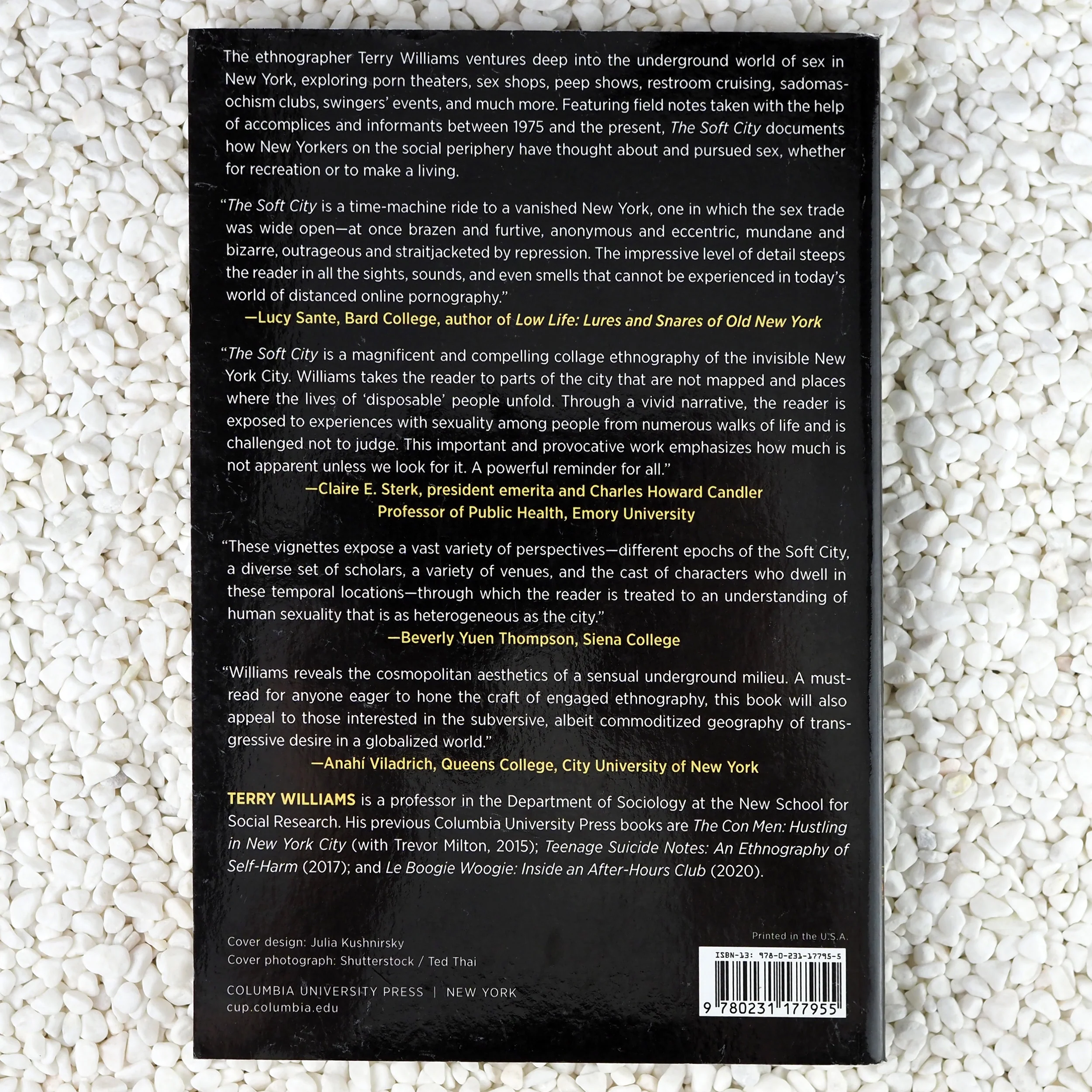 The Soft City: Sex for Business and Pleasure in New York City - Paperback Book - Image 2