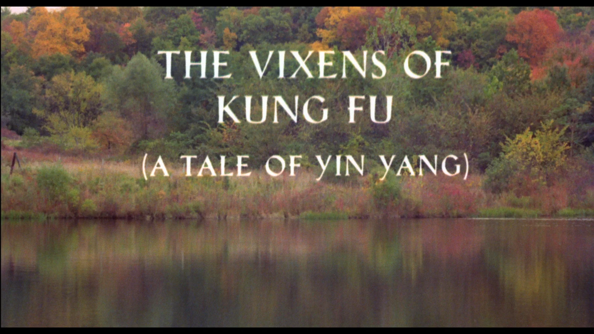 The Vixens of Kung-Fu / Oriental Blue - Image 3
