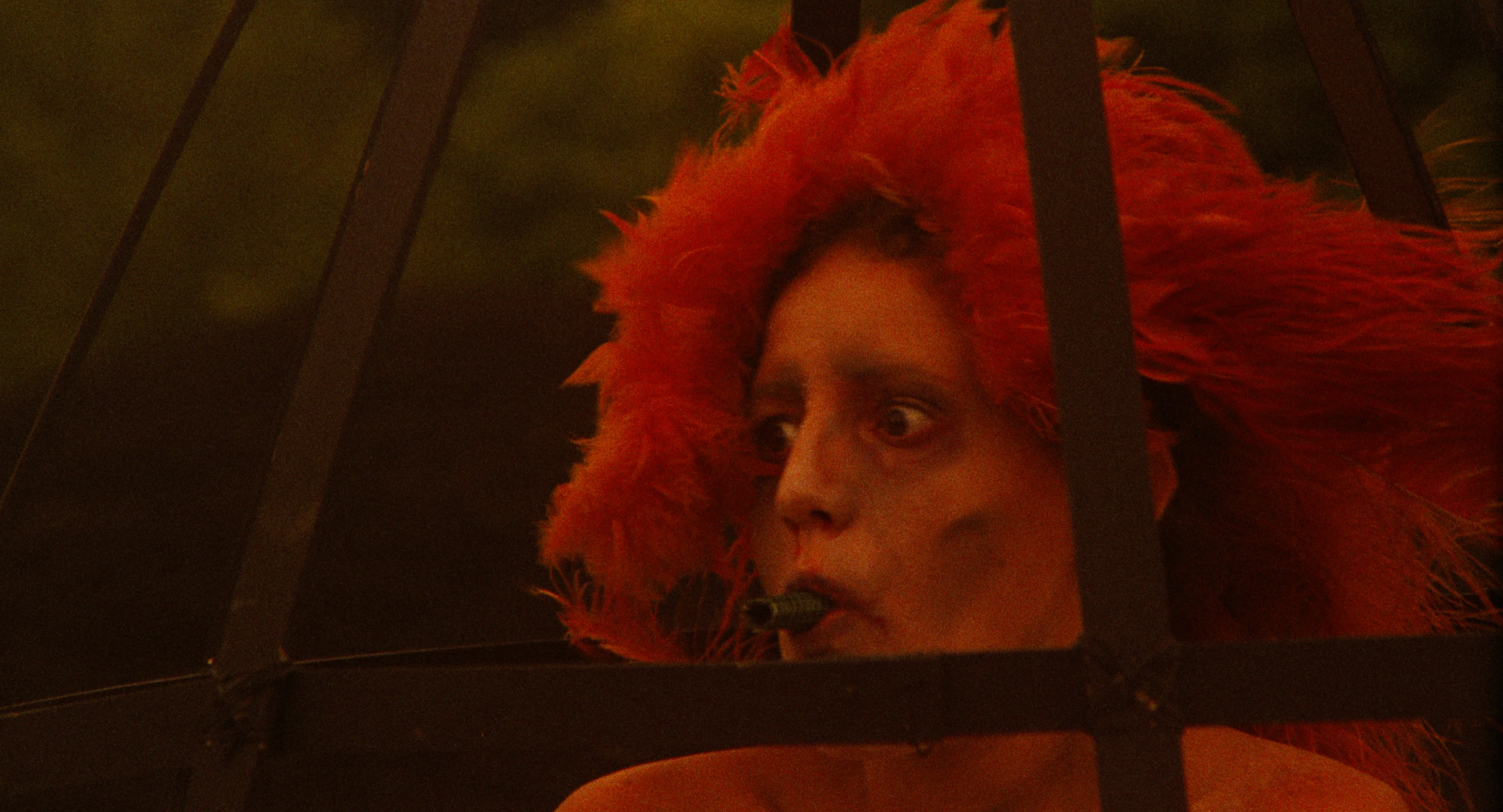 Through The Looking Glass - Image 12
