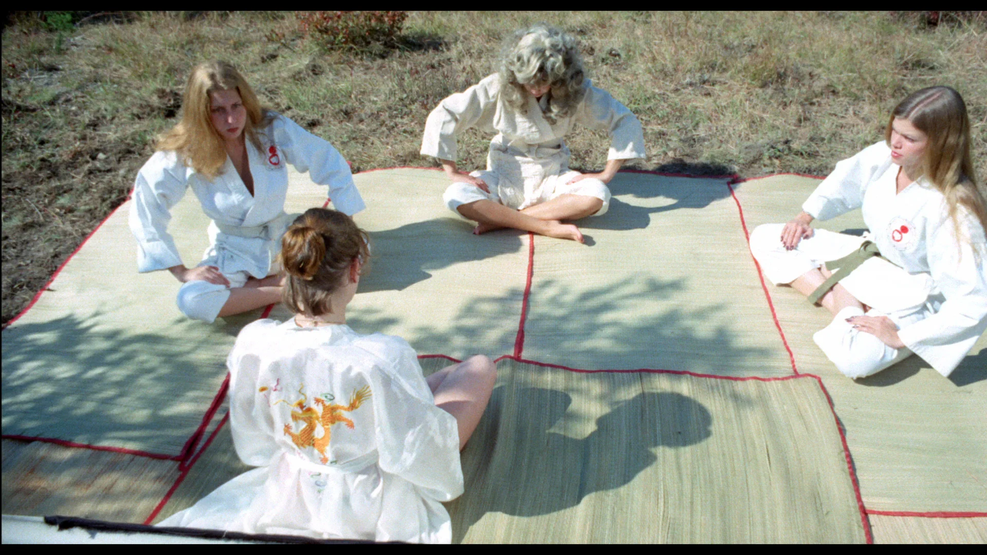 Vixens of Kung Fu + Night Bird + Sunny - Image 5